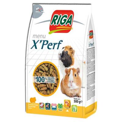 3166780050684 - Riga - X'Perf Cochons d'Inde stand up