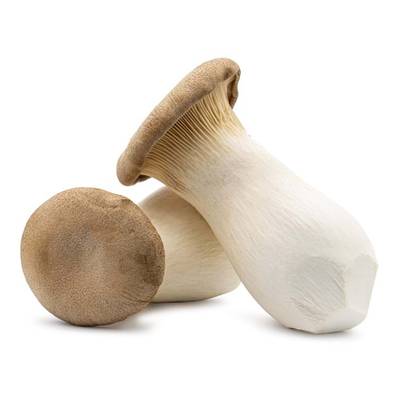 Champignon Eryngii