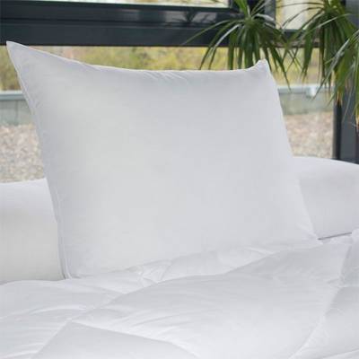 3153633460486 - Bleu calin - Lot de 2 oreillers SANITIZED