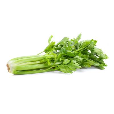 Les Paysans Bio Céleri Branche Bio, 1 Botte, Environ 1kg