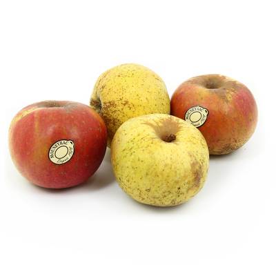 Mouneyrac Pomme Reinette