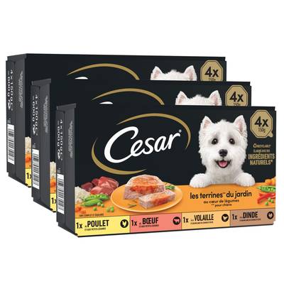 César Barquettes Terrines du Jardin Coeur de Légumes 4 variétés pour Chien Adulte, Lot de 3x4x150g