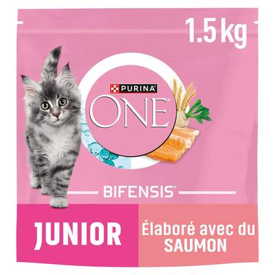 Purina - One Croquettes Saumon pour Chaton, 1,5kg