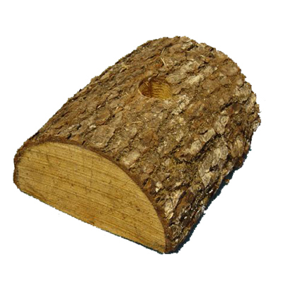 2050000231292 - Truffaut - Sapin Nordmann 125/150 cm naturel