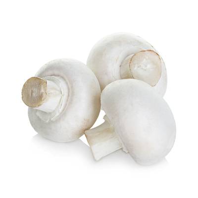 Champignon de Paris Blanc, Barquette de 250g