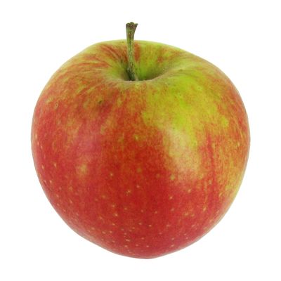 2050000402395 -  - Pomme Idared