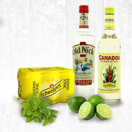 Pack Mojito