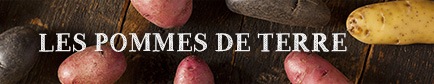 Choisir sa pomme de terre