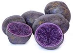 La pomme de terre originale Bleue d'Artois