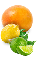 Pomelo, citron et citron vert