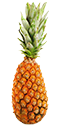 L'ananas Pain de Sucre
