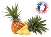 origine des ananas