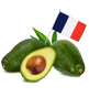 origine des avocats
