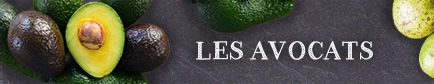 Choisir ses avocats