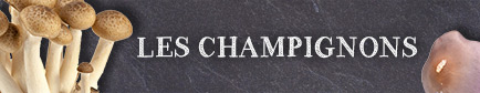Choisir ses champignons