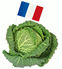 origine des choux