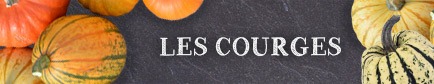 Choisir ses courges