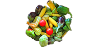 Mini légumes