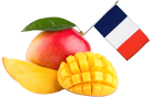 origine des mangues