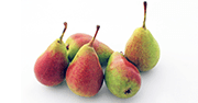 La poire Louise Bonne
