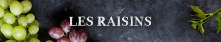 Choisir son raisin