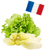 origine des salade