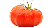 Tomate Marmande