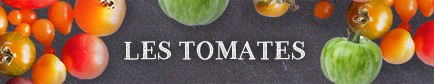 Choisir ses tomates