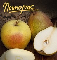 Image illustration Mouneyrac