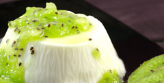 Flan de kiwi bio sans gluten 